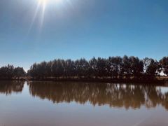 -白渔泡湿地公园