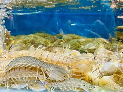 -蓝珊甄选海鲜自助·火锅大排档(近阿那亚店)
