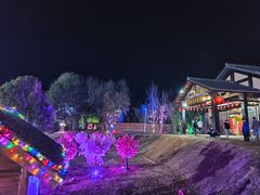 -崇阳三特浪口温泉