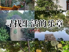 -张鸟园农家乐(张鸟园店)