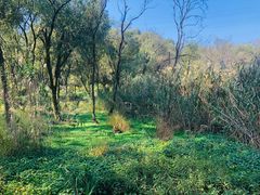 -西湖风景区-江洋畈生态公园