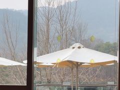 -逸廊大堂吧-下午茶·简餐-千岛湖自由洲际殿
