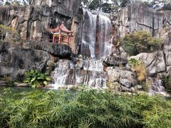 -金鸡山公园