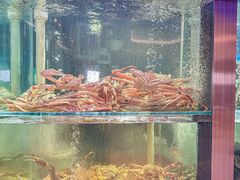 -1718海鲜姿造(苏宁宴请臻选店)