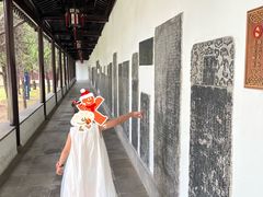 -苏州文庙(姑苏区)