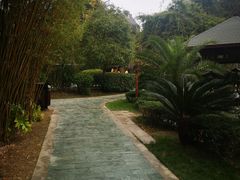 -咸宁万豪温泉谷度假区