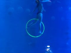 -烟台海昌鲸鲨海洋公园