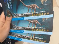 -自贡恐龙博物馆