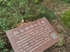 -东明山森林公园