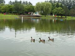 -太阳宫公园
