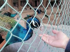 -南京金牛湖风景区