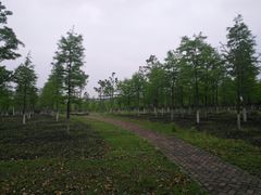 -江南大学(蠡湖校区)