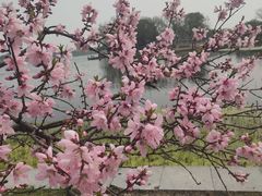 -阳澄湖半岛旅游度假区