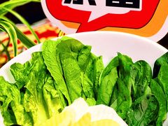 -今日牛事潮汕鲜牛肉火锅(瑞金店)
