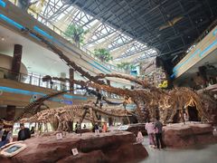 -安徽省地质博物馆