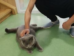 -藦茜花园宠物主题亲子互动体验馆(国顺东路店)