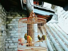 大堂-鱼桥巷·美学川菜