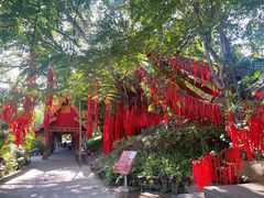 -曼听御花园