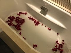 -舟山希尔顿酒店