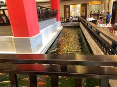 -龙悦湾酒家·八阵鱼生·渔人码头店