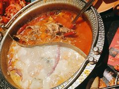 -牛New寿喜烧(金茂览秀城店)