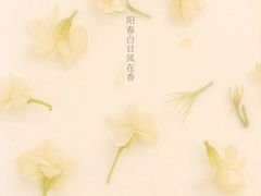 -幸福西饼生日蛋糕·下午茶(思明店)