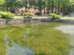 -上海师范大学(徐汇校区)