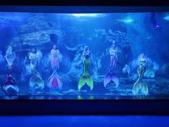 -多彩贵州城极地海洋世界