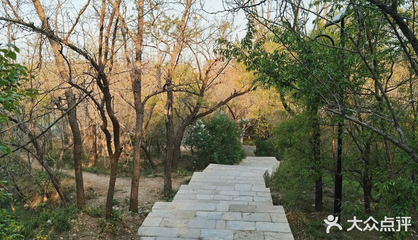 早上做完了核酸顺便去凤凰山爬了个山，据说山顶的亭子要