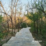 早上做完了核酸顺便去凤凰山爬了个山，据说山顶的亭子要