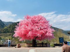-四川省成都市彭州市白鹿镇