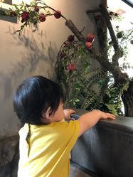 -YUEYAR PHOTO摄影