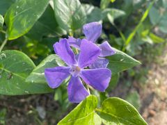 -玄武湖景区-情侣园游乐场