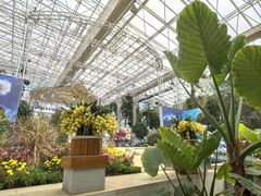-沈阳植物园