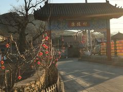 -康陵正德春饼宴26号