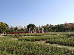-广东花都香草世界旅游度假区