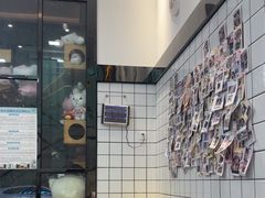 -半岛宠物医院24小时(科华中路店)