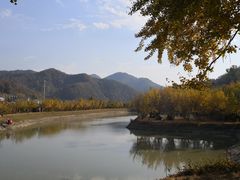 -千年银杏谷文化旅游区