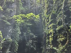 -梭布垭石林景区