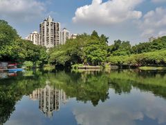 -晓港公园