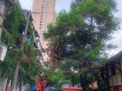 -十一街苍蝇馆子转经消江湖菜(九眼桥十一街店)