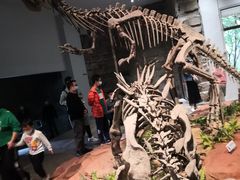 -自贡恐龙博物馆