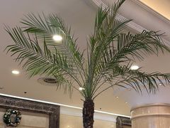-逸派咖啡 EPARKCOFFEE(广安门店)