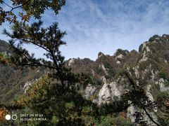 -王顺山国家森林公园