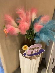 -Hi Beauty Skin 科技美肤中心