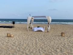 -海南清水湾莱佛士酒店