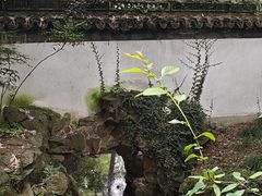 -秋霞圃