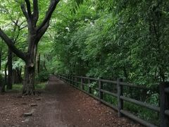 -井之头恩赐公园