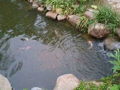 -厦门园林植物园-植物园滴水山房