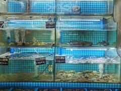 -老东镇啤酒屋海鲜加工·蒸汽海鲜·海鲜烧烤(台东店)